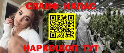 СК Краснодар
