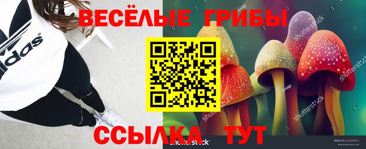 Галлюциногенные грибы ЛСД Ирбит